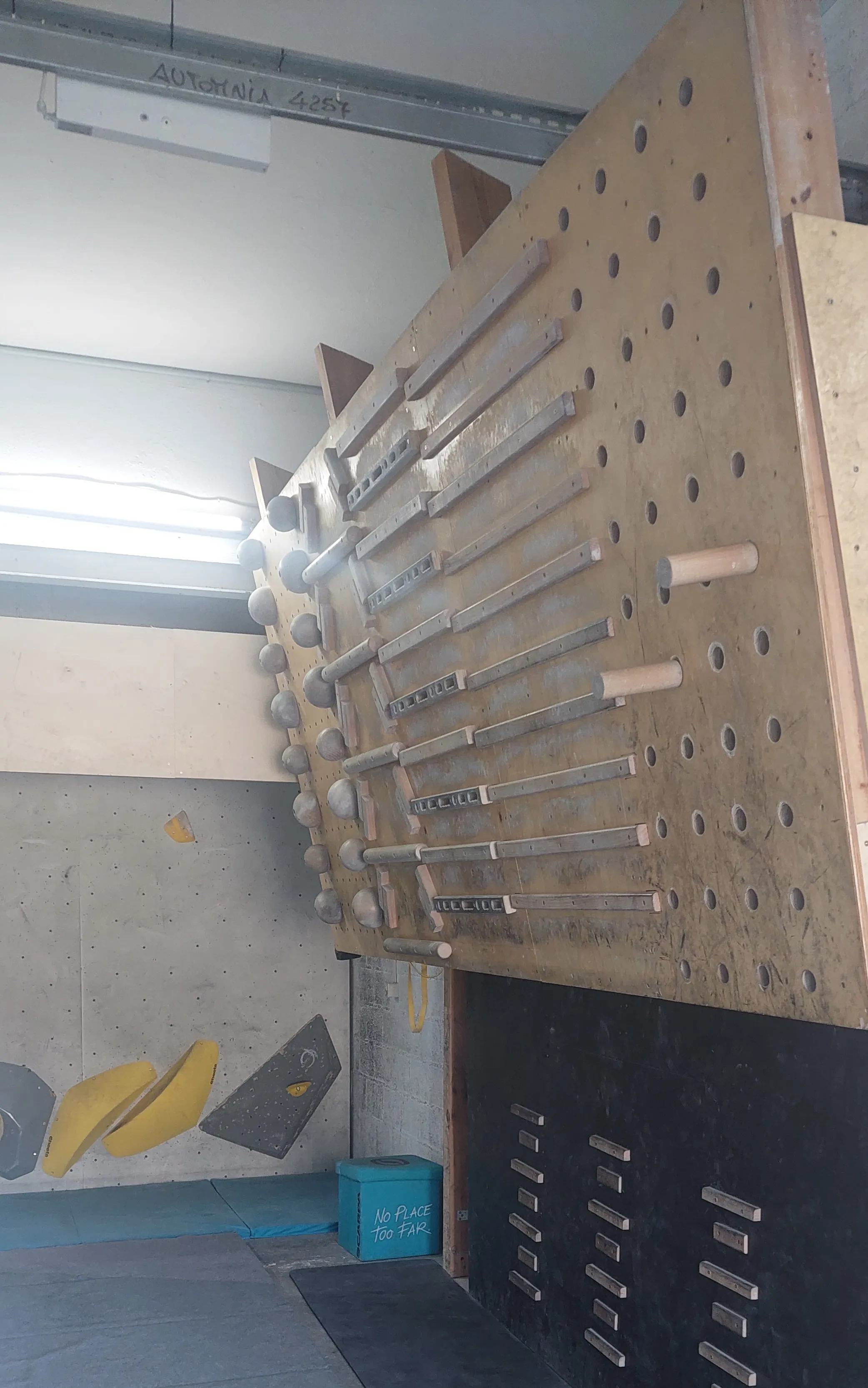 Parete di allenamento con campus board e fingerboard